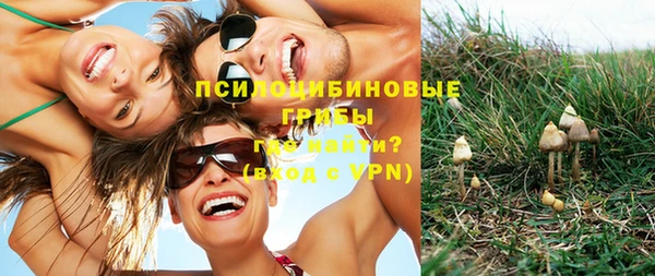 ГАЛЛЮЦИНОГЕННЫЕ ГРИБЫ Армянск
