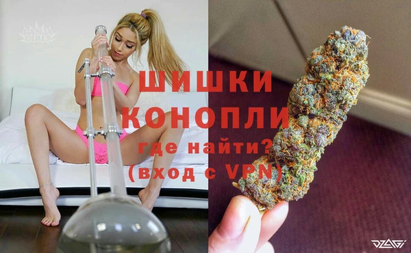 ГАЛЛЮЦИНОГЕННЫЕ ГРИБЫ Армянск