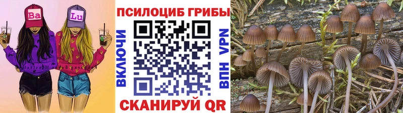 Галлюциногенные грибы ЛСД  Баймак 